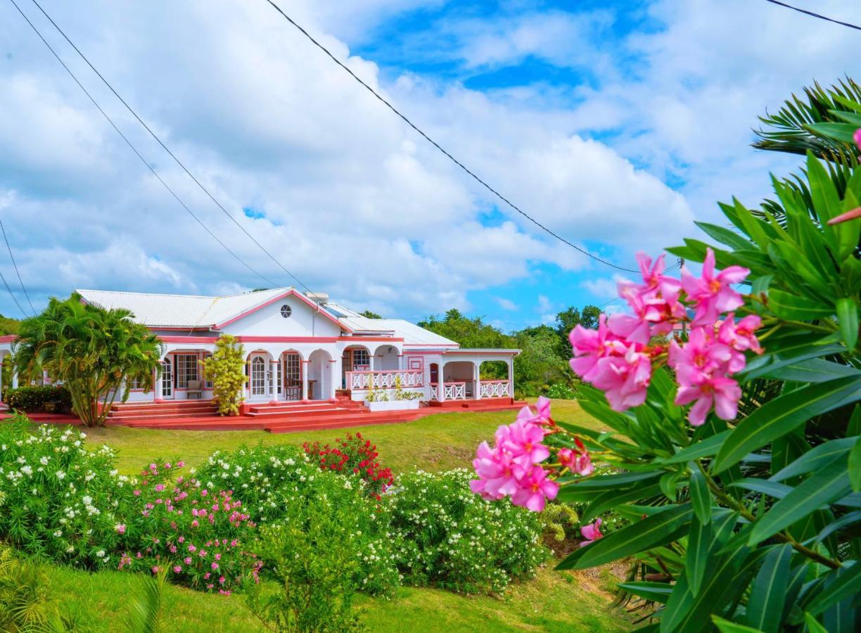 Sunny Palm Villas Laborie Bagian luar foto