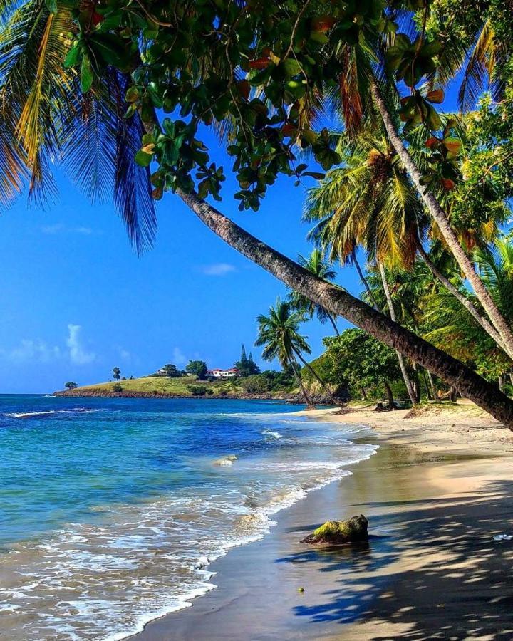 Sunny Palm Villas Laborie Bagian luar foto